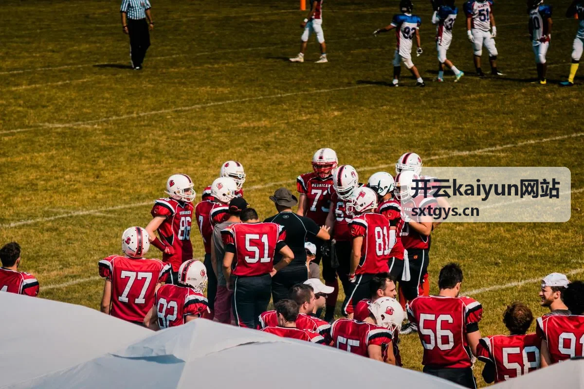开云kaiyun网站数据看板与分析分类介绍